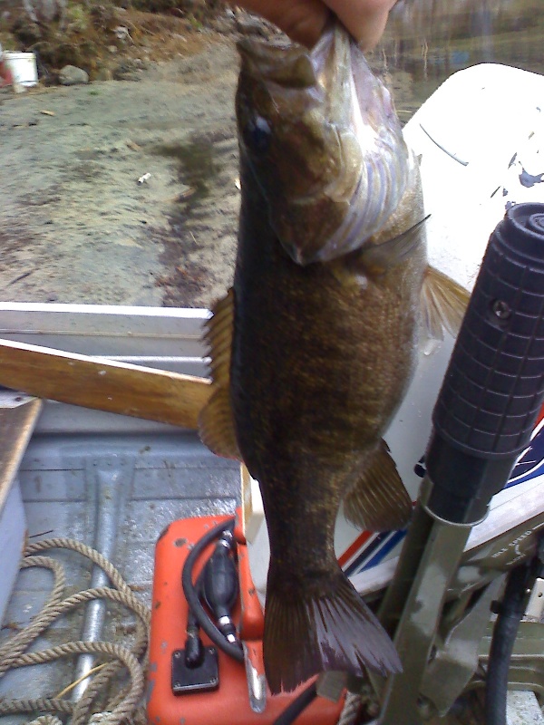 2lb. Small Mouth Bass